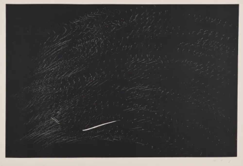 Lithografie Hartung - Composición