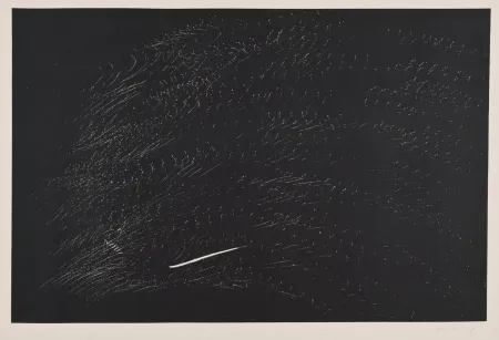 Lithografie Hartung - Composición