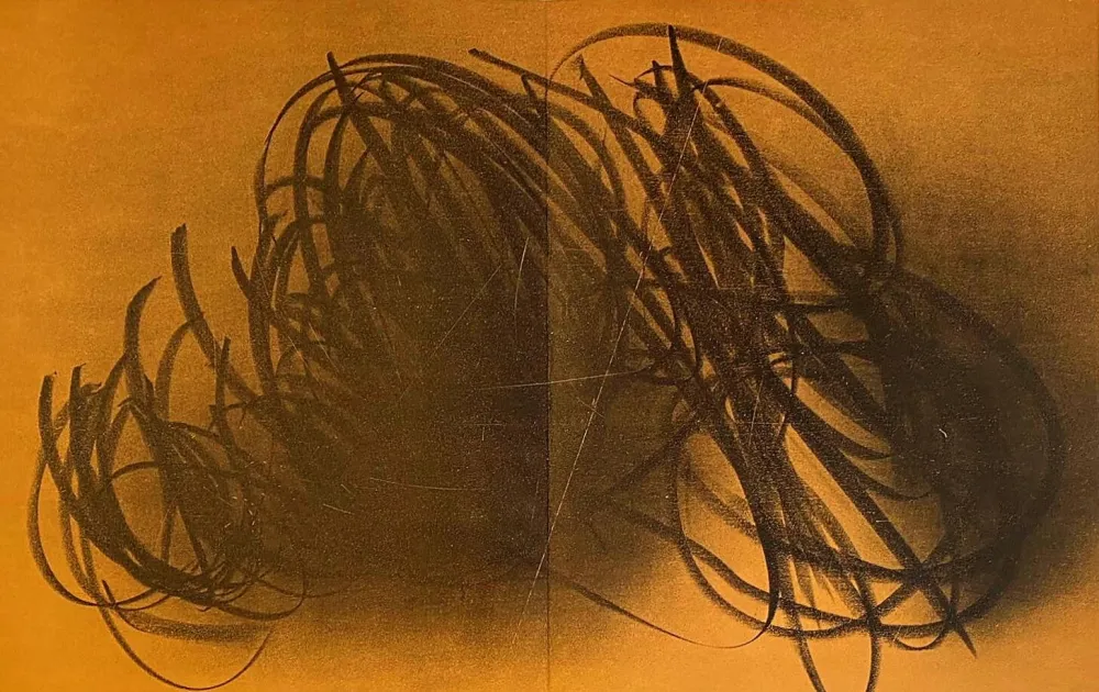 Lithografie Hartung - Farandole