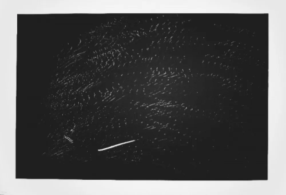 Lithografie Hartung - Farandole 15