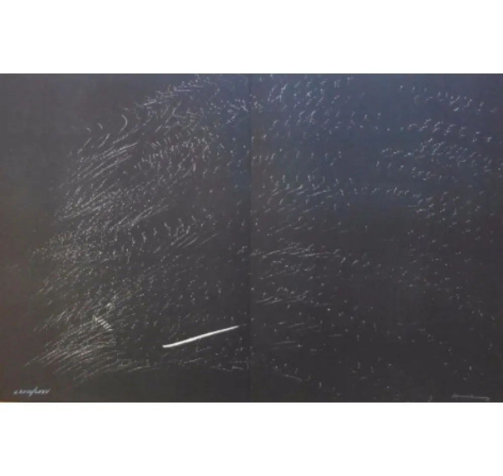 Lithografie Hartung - Farandole B