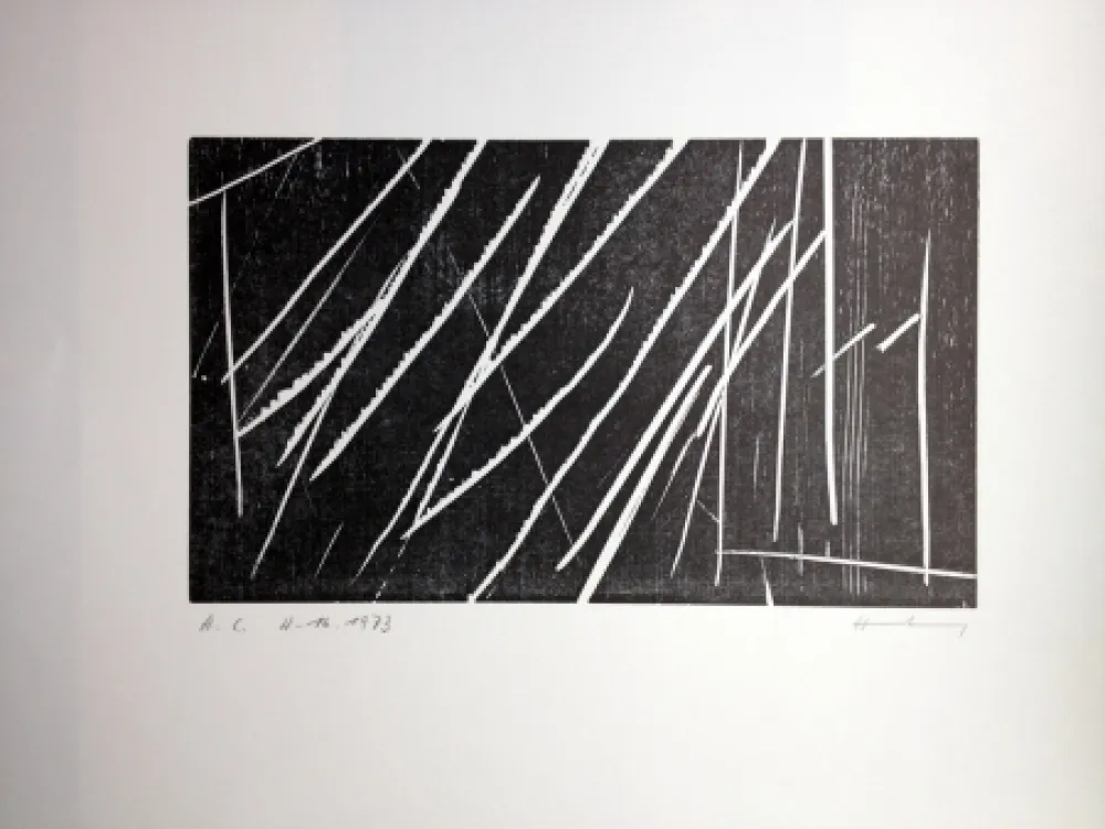 Houtsnede Hartung - H 16