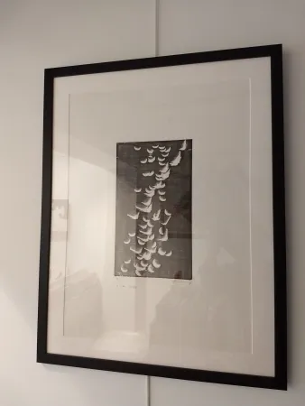 Lithografie Hartung - H14