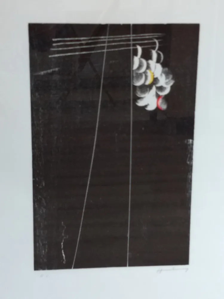 Lithografie Hartung - Hartung