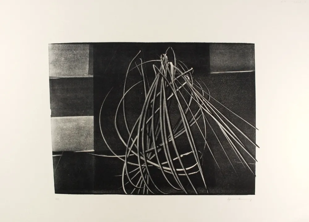 Lithografie Hartung - L-4-1976 