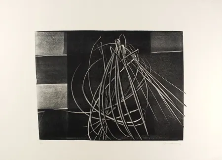 Lithografie Hartung - L-4-1976 