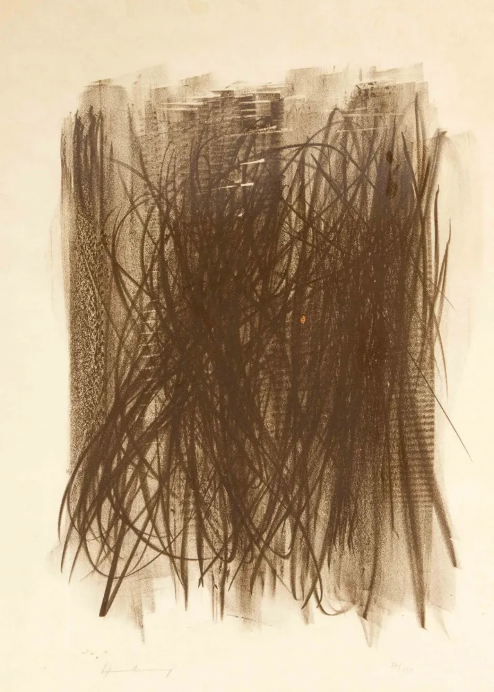 Geen Techniek Hartung - L92