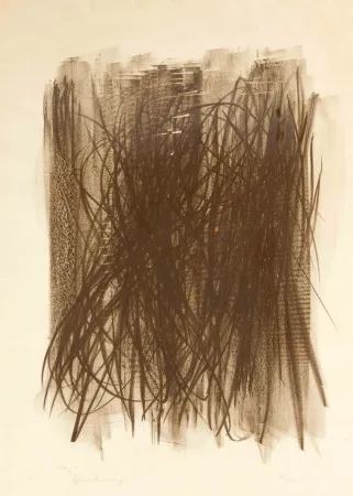 Geen Techniek Hartung - L92