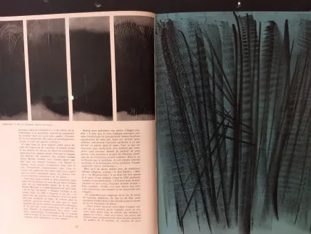 Geïllustreerd Boek Hartung - XXE No 24