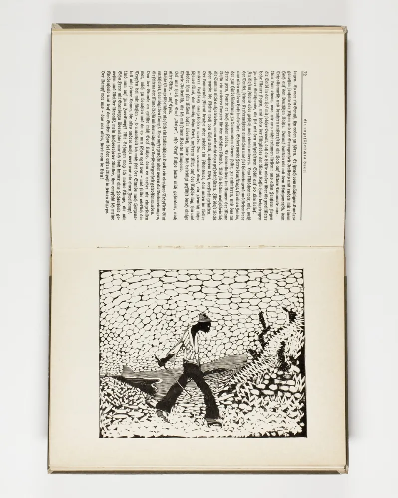 Geïllustreerd Boek Hasemann - Himmel und Hölle auf der Landstraße