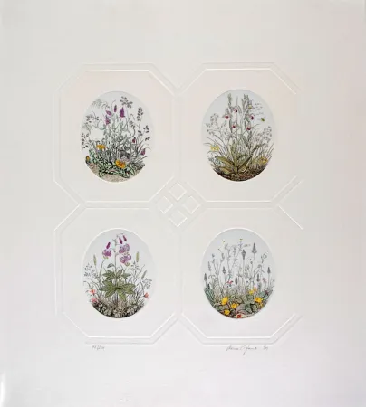 Ets Hauck - Les Fleurs - Flowers