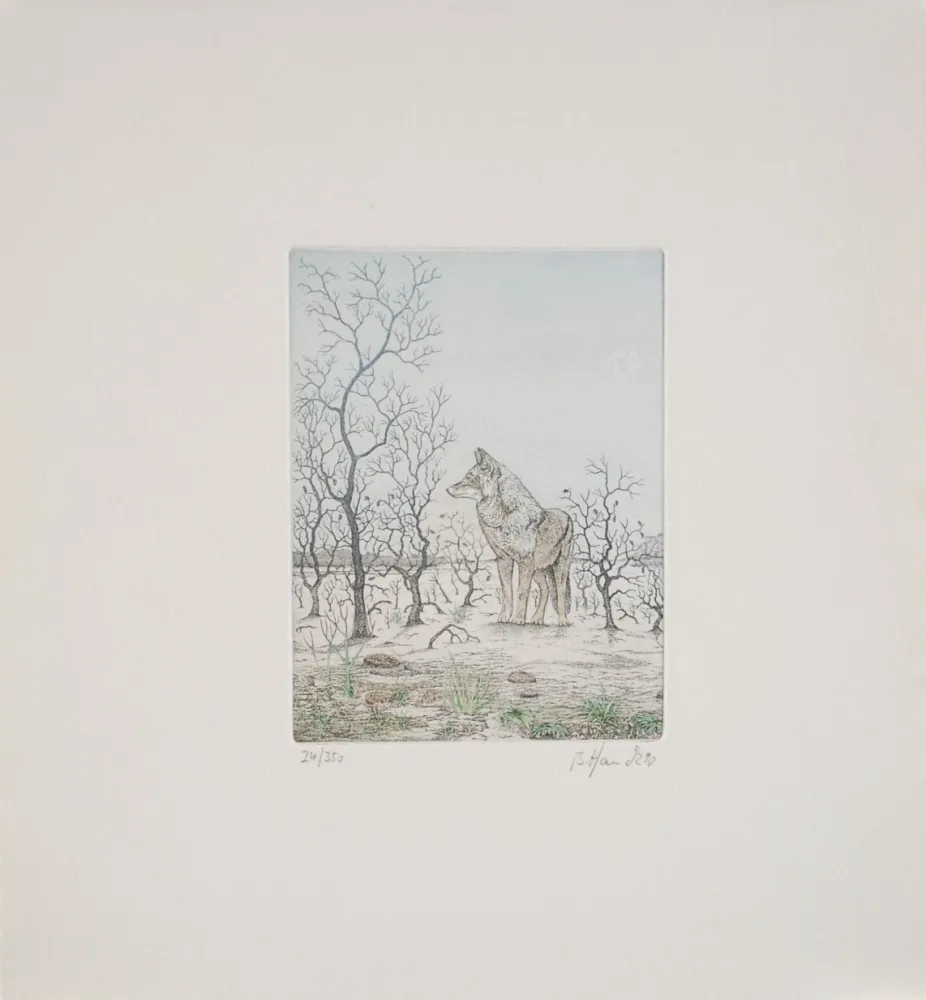 Ets Hauck - Loup - Wolf