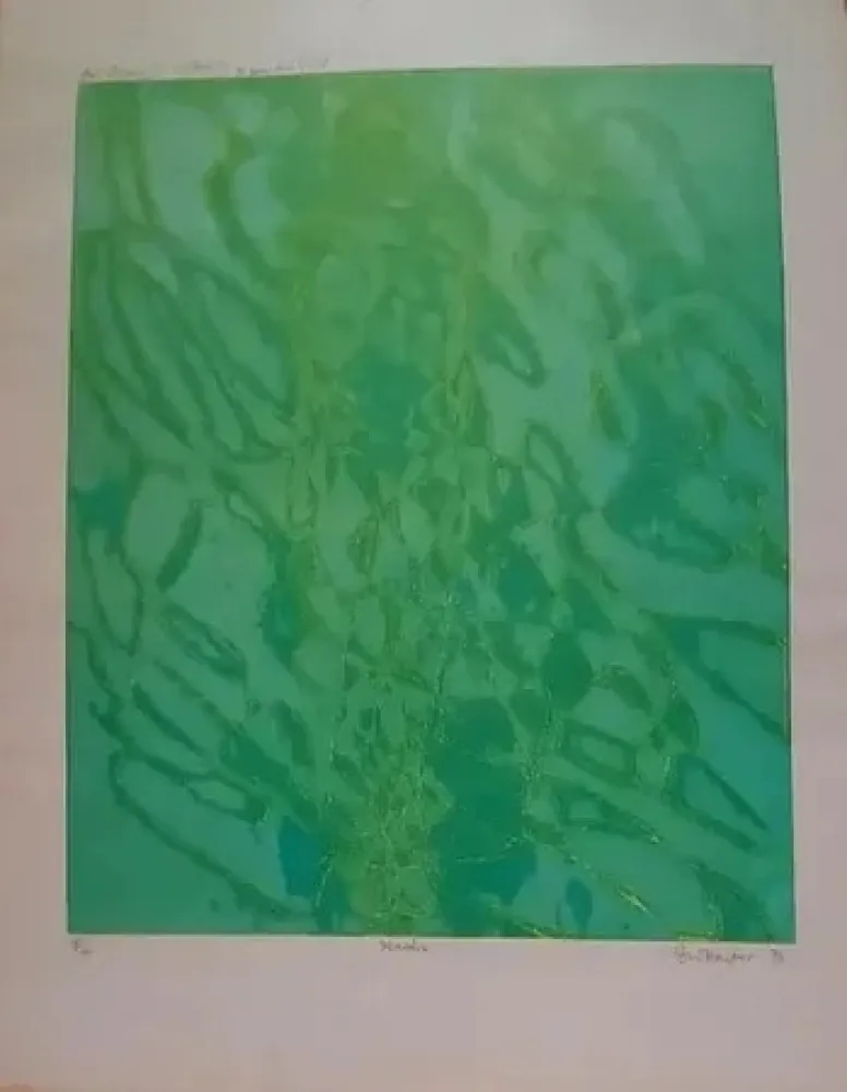 Gravure Hayter - Marais (1976)