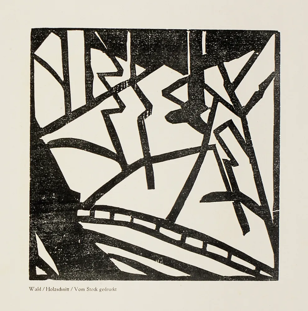 Houtsnede Heemskerck,  - Sturm-Bilderbuch VII 