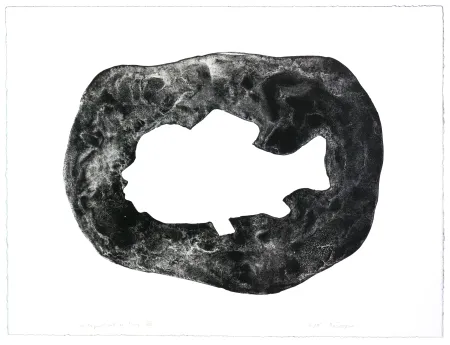 Lithografie Henin - Auportrait en carpe VIII