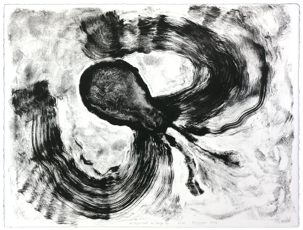 Lithografie Henin - Auportrait en carpe XI