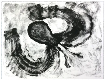 Lithografie Henin - Auportrait en carpe XI