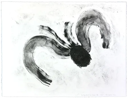 Lithografie Henin - Auportrait en carpe XII