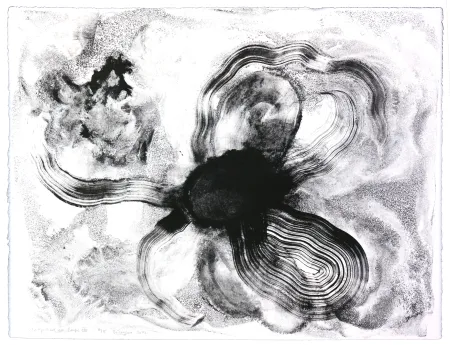 Lithografie Henin - Auportrait en carpe XIII