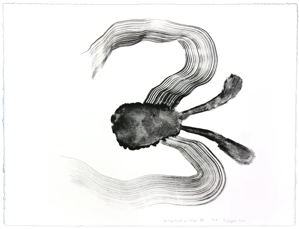 Lithografie Henin - Auportrait en carpe XIV