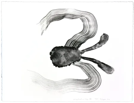 Lithografie Henin - Auportrait en carpe XIV