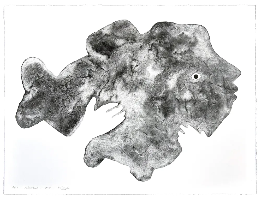 Lithografie Henin - Autoportrait en Carpe