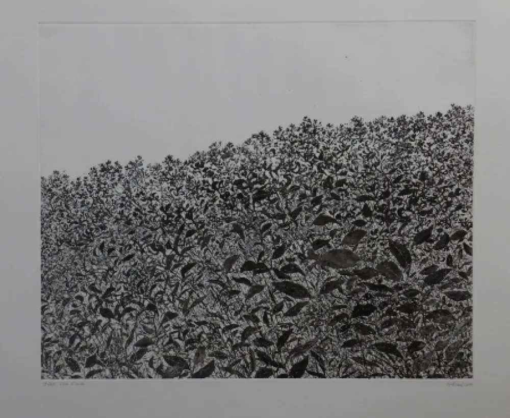 Ets Henry - Sans titre