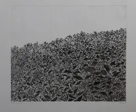 Ets Henry - Sans titre