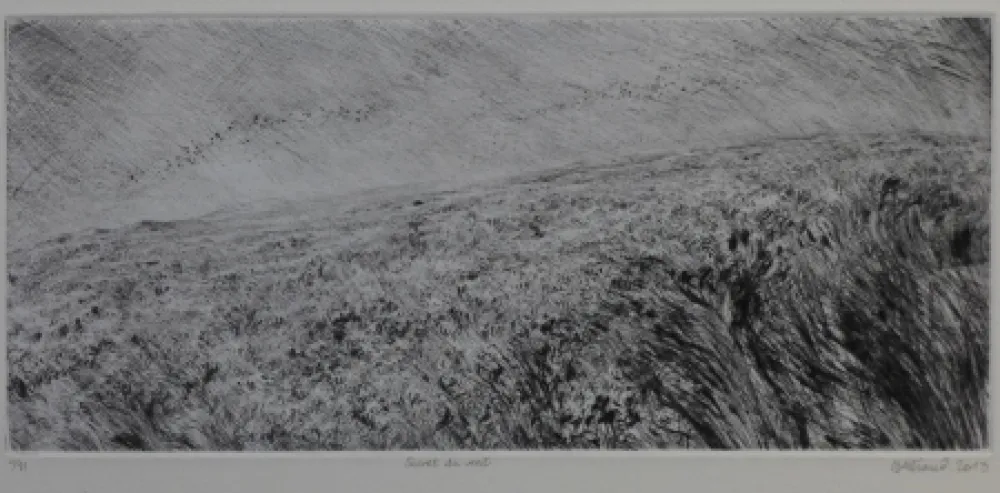 Droge Naald Henry - Secret du vent