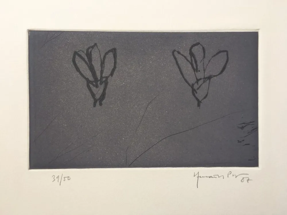 Gravure Hernandez Pijuan - Flores sobre gris