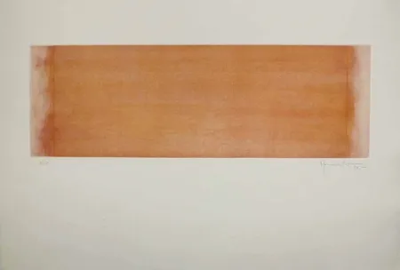 Ets En Aquatint Hernandez Pijuan - HP 14