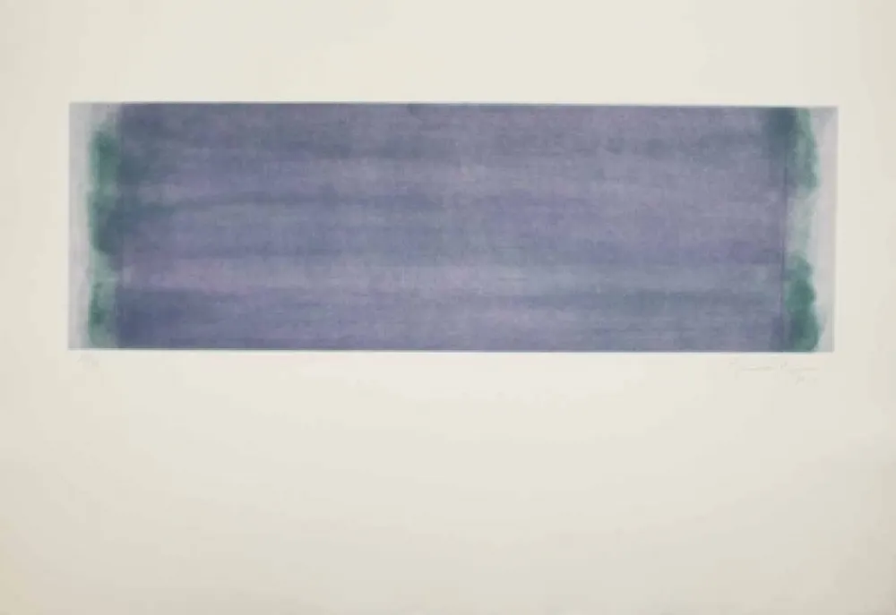 Ets En Aquatint Hernandez Pijuan - HP 15