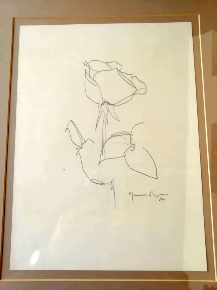 Geen Techniek Hernandez Pijuan - La Rosa - 3