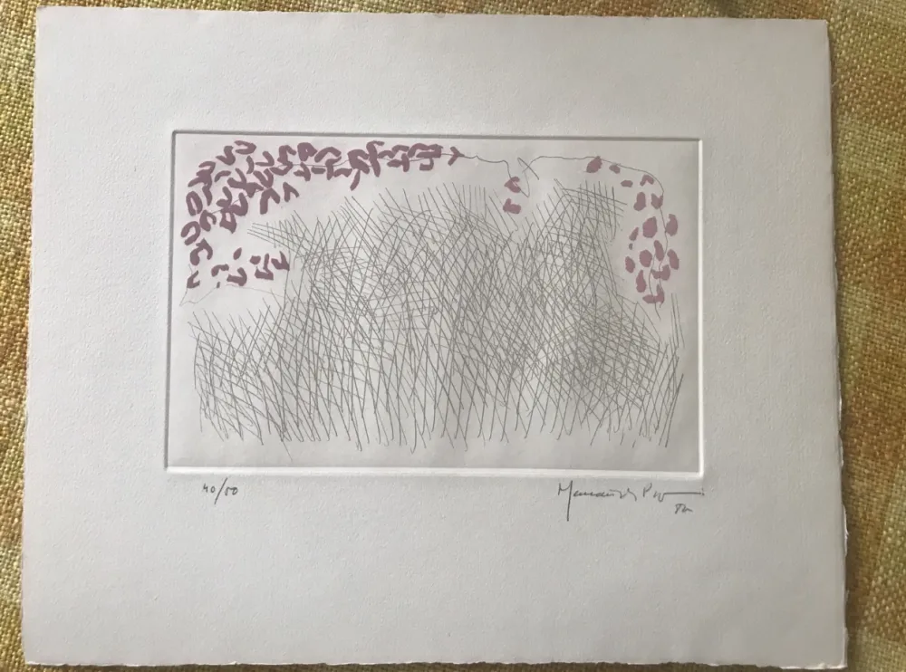 Ets En Aquatint Hernandez Pijuan - PJ-10