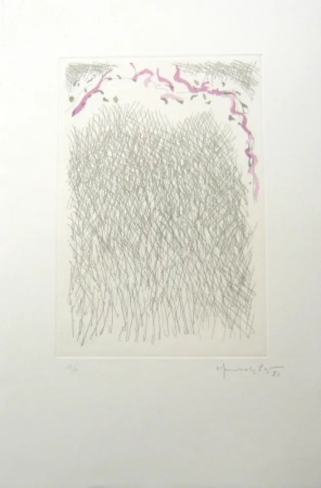 Gravure Hernandez Pijuan - PL2