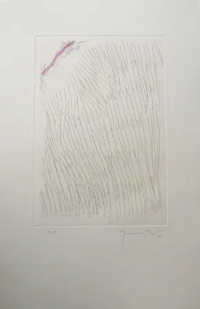 Gravure Hernandez Pijuan - PL8