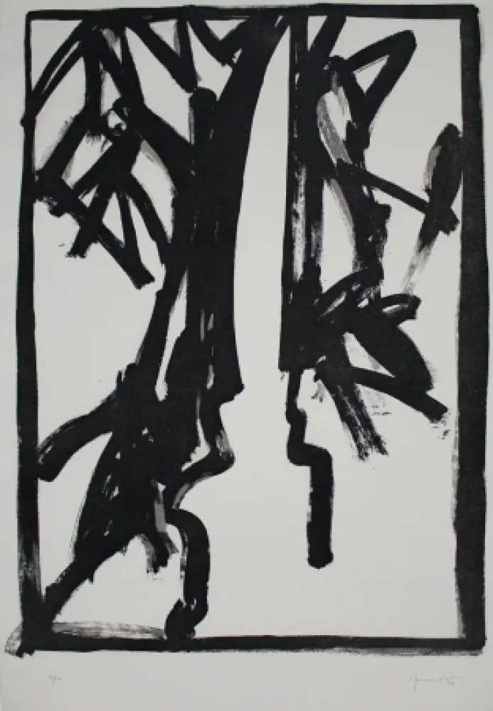 Aquatint Hernandez Pijuan - Planta de saló 3