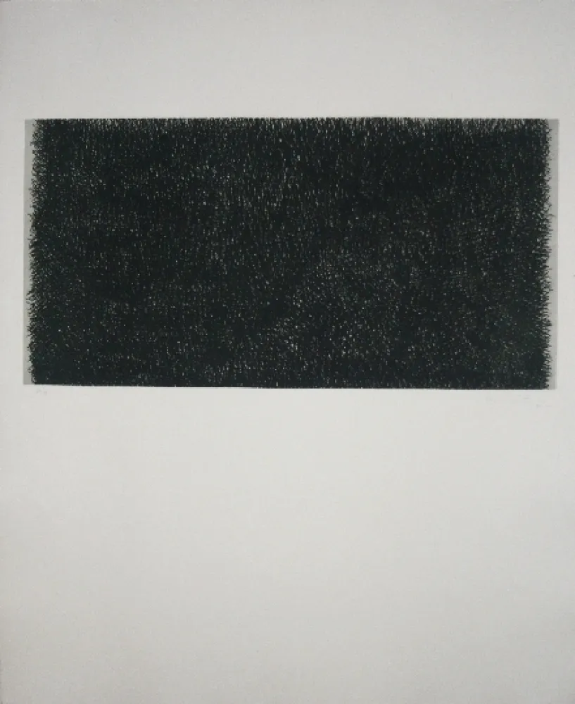 Gravure Hernandez Pijuan - Polychrome 20