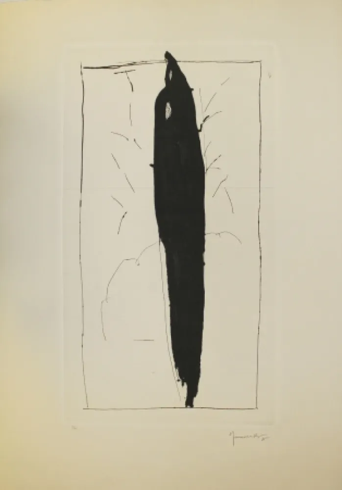 Droge Naald Hernandez Pijuan - Xiprer (Cypress)