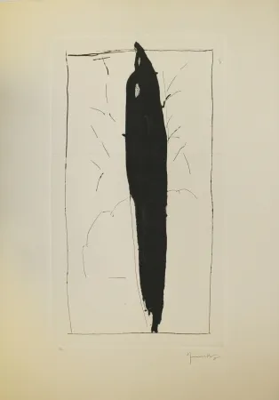 Droge Naald Hernandez Pijuan - Xiprer (Cypress)