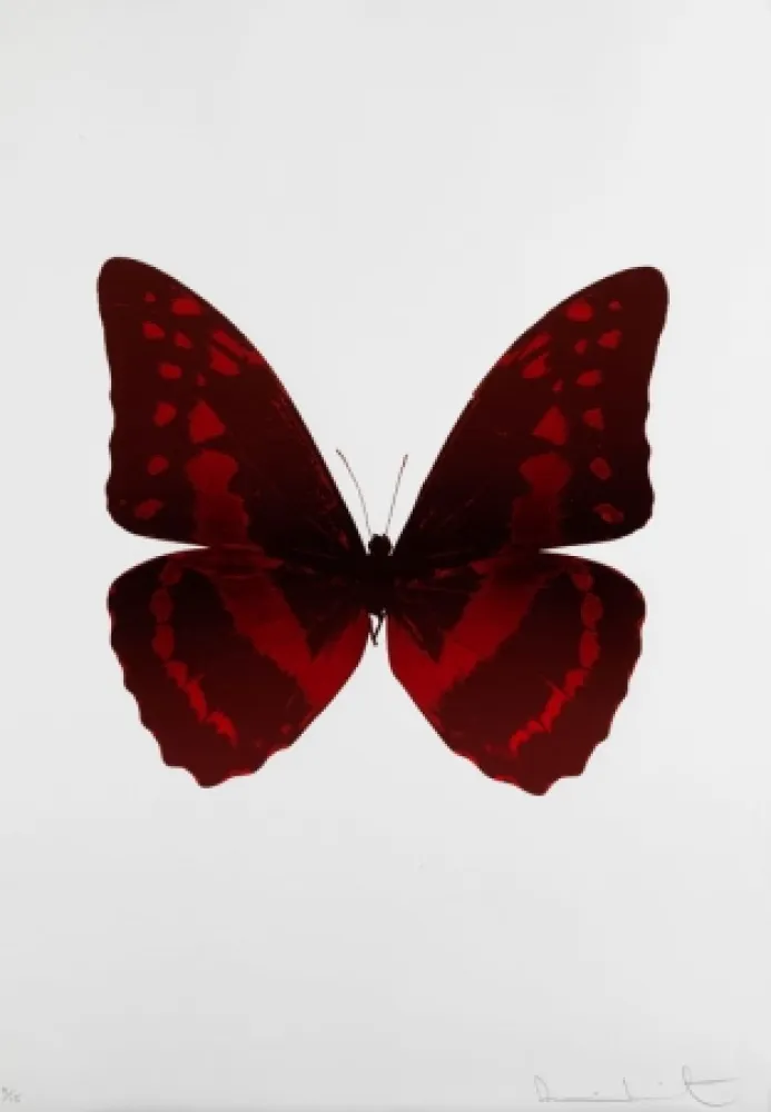 Geen Techniek Hirst - Bristol 