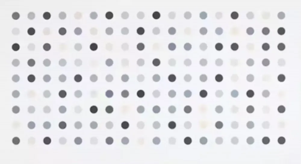 Gravure Hirst - Diacetoxyscirpenol Spot Print