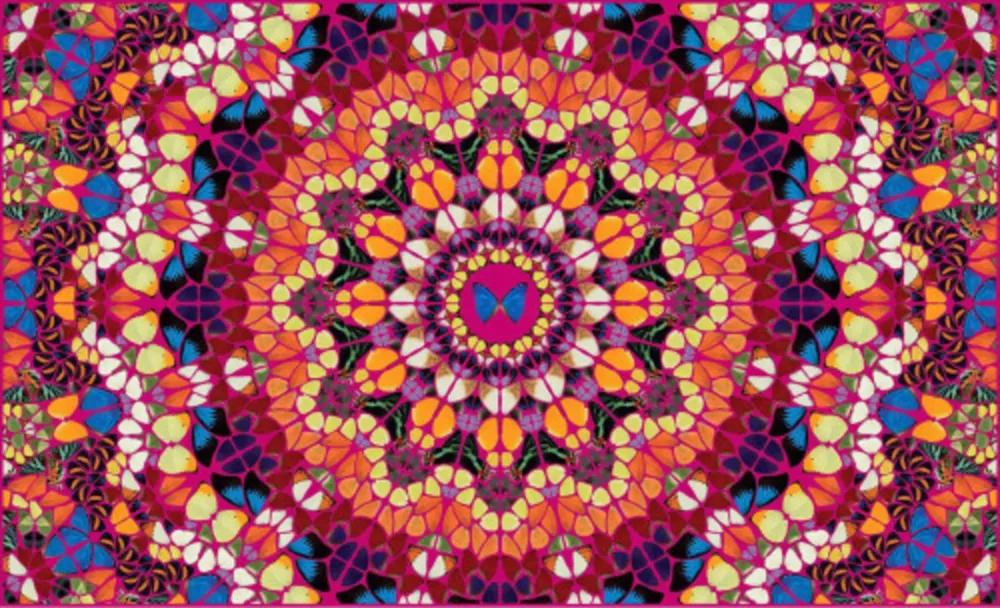 Multiple Hirst - Harlequin from The Kaleidoscopes H18-1