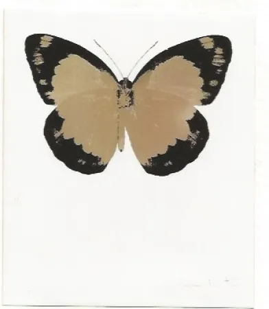 Geen Techniek Hirst - Long Life Purple African Gold Imperial Purple Skull