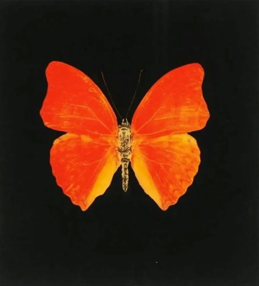 Multiple Hirst - Memento 3