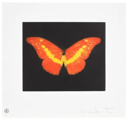 Gravure Hirst - To Love