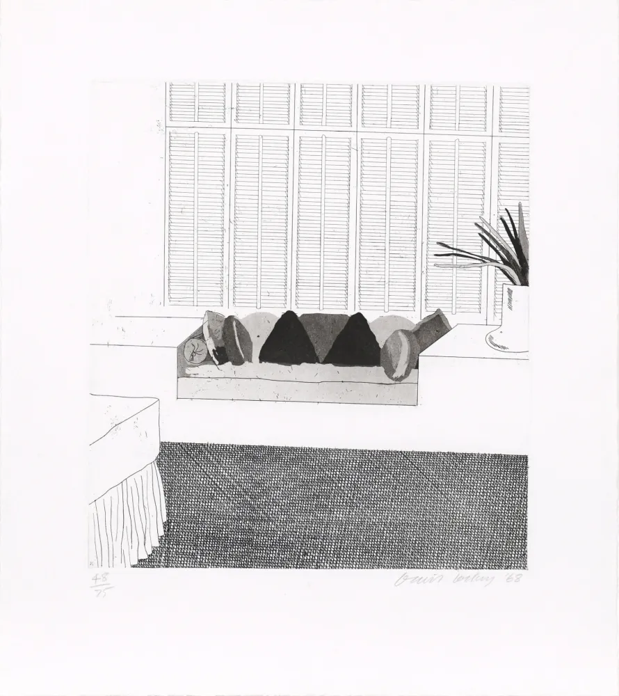 Ets En Aquatint Hockney - Cushions