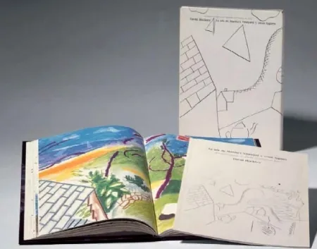 Geïllustreerd Boek Hockney -  La Isla de Martha Vineyard y otros lugares