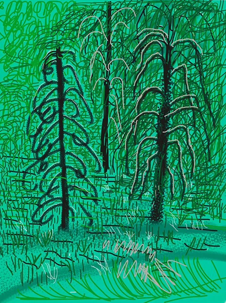 Digitale Print Hockney - Yosemite No.16