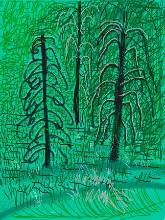 Digitale Print Hockney - Yosemite No.16